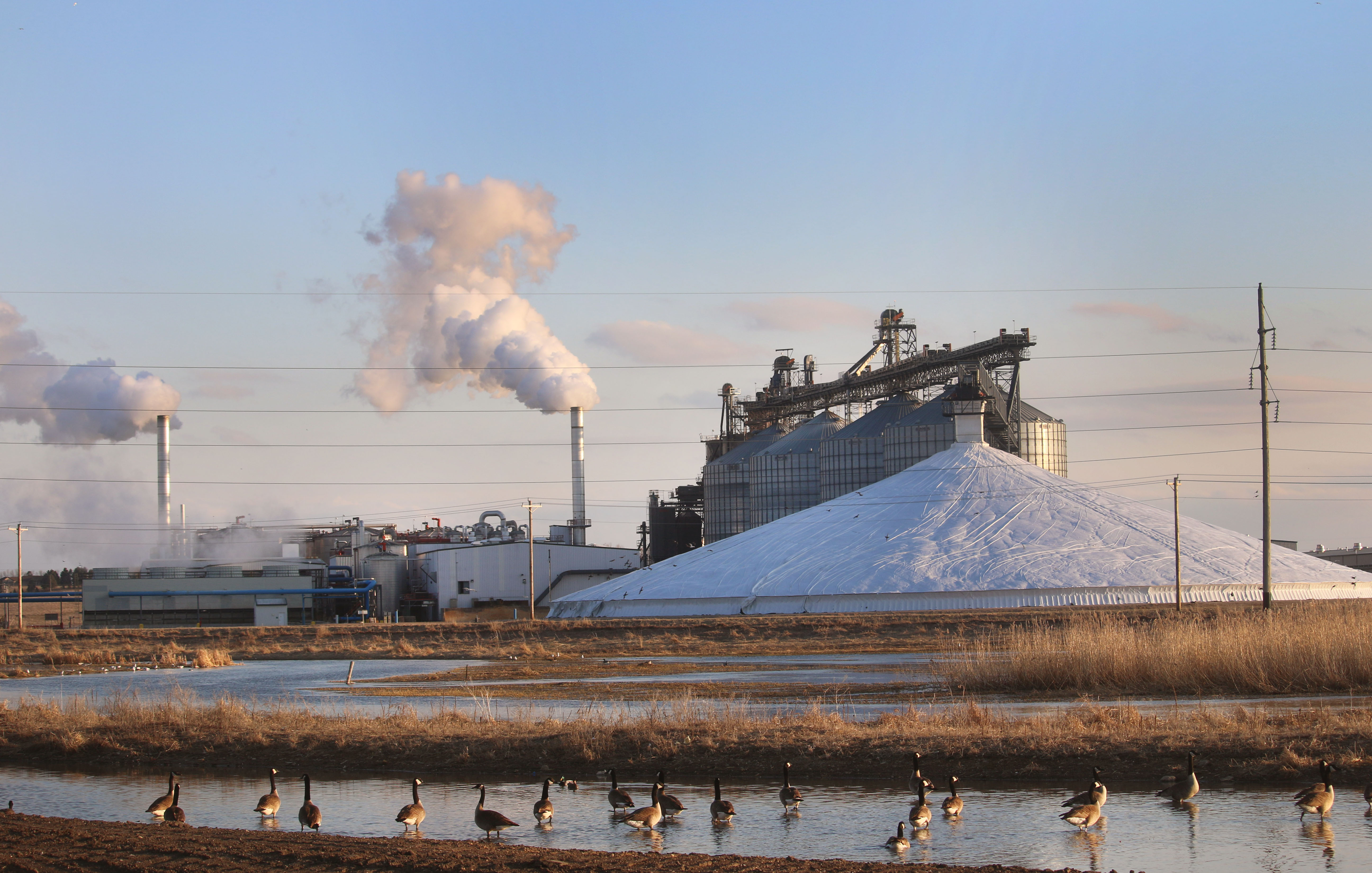 Carbon capture advocacy group recruits prominent ag leaders - Vimarsana News